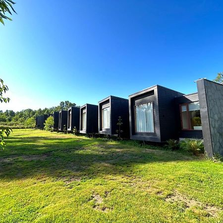 Mawuen Lodge Pucon Ngoại thất bức ảnh