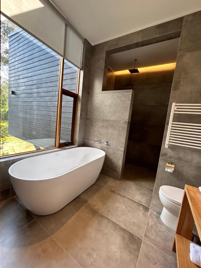 Mawuen Lodge Pucon Ngoại thất bức ảnh
